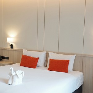 Superior Room ( No View )
